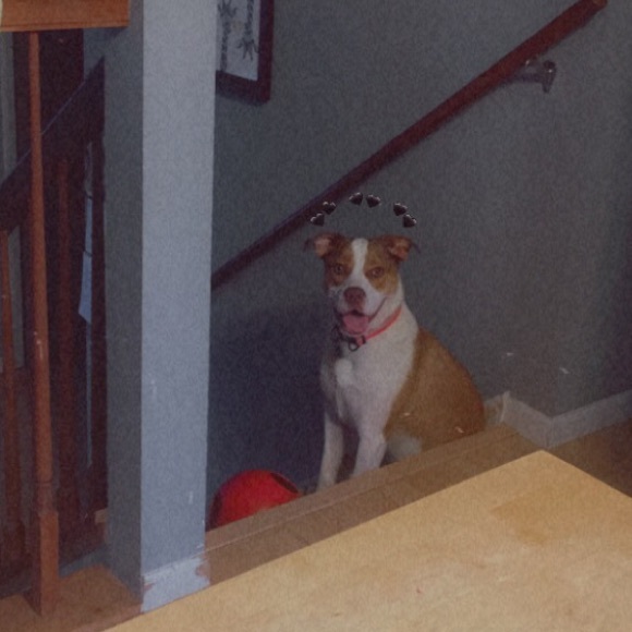 Hi Everyone!!! - Picture 2 of 2